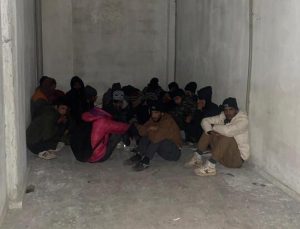 Van’da 17 kaçak göçmen yakalandı